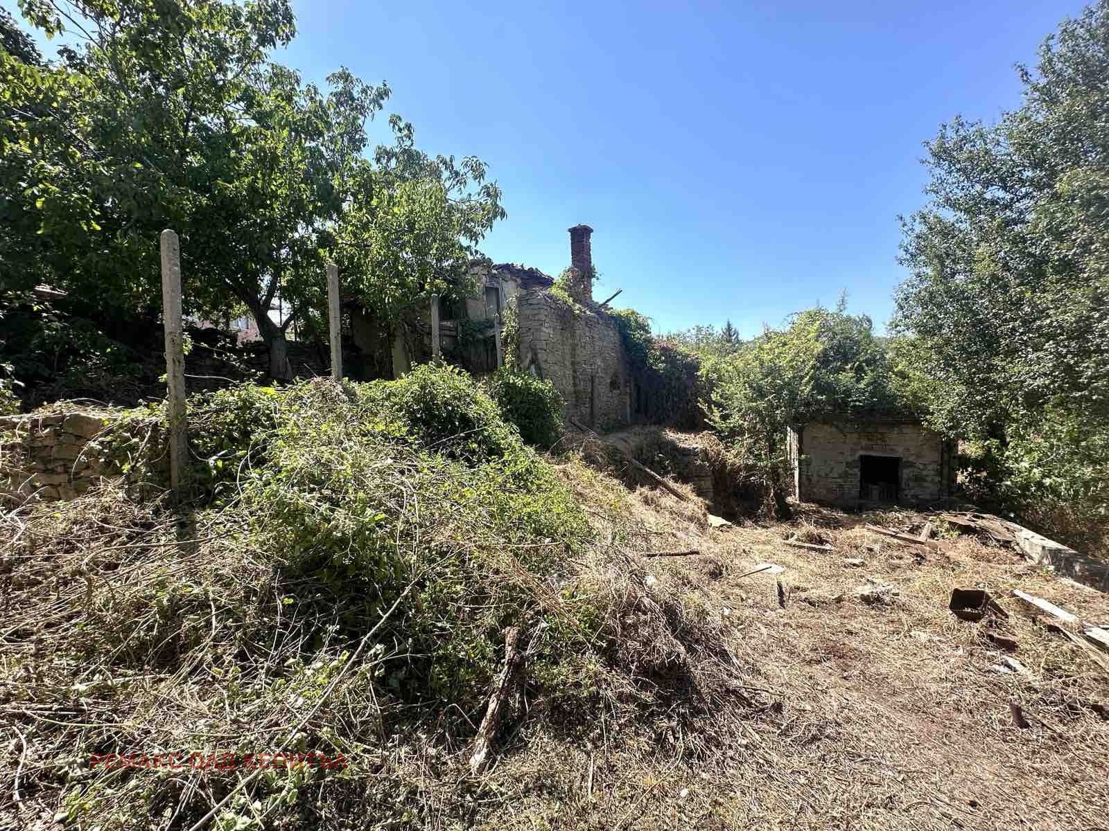 Продава КЪЩА, с. Драгижево, област Велико Търново, снимка 2 - Къщи - 51244626