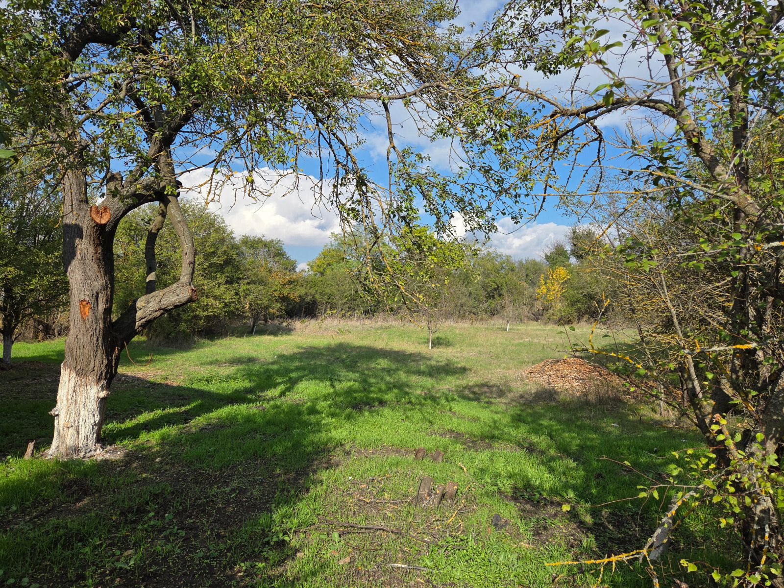 Продава КЪЩА, гр. Вълчи дол, област Варна, снимка 4 - Къщи - 54273866