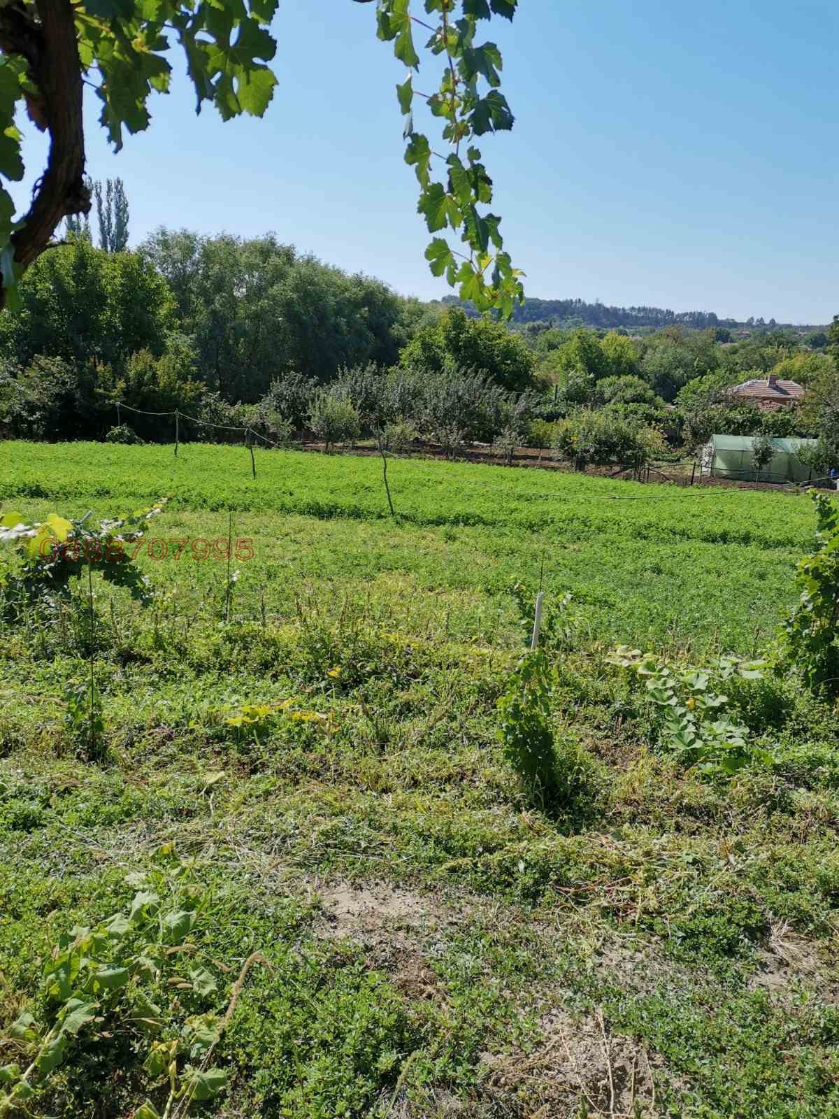 Продава КЪЩА, с. Полски Градец, област Стара Загора, снимка 5 - Къщи - 56134102