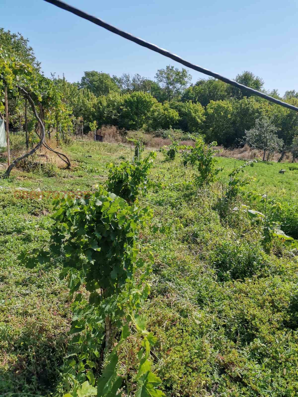Продава КЪЩА, с. Полски Градец, област Стара Загора, снимка 3 - Къщи - 56134102
