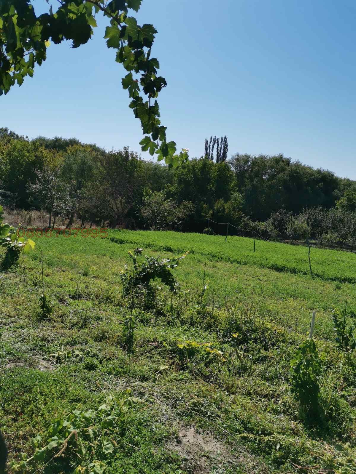 Продава КЪЩА, с. Полски Градец, област Стара Загора, снимка 6 - Къщи - 56134102