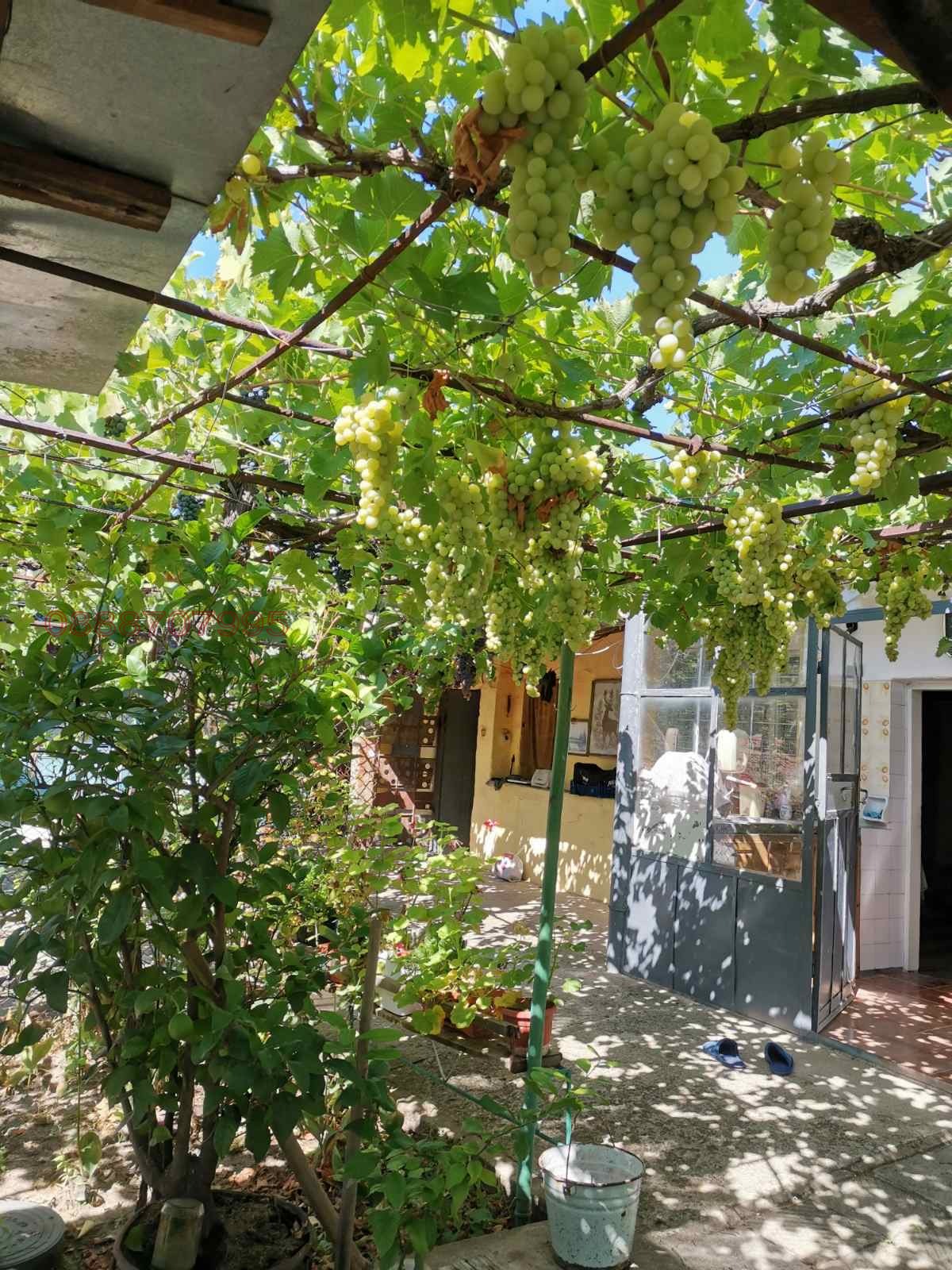 Продава КЪЩА, с. Полски Градец, област Стара Загора, снимка 9 - Къщи - 56134102