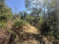 Продава КЪЩА, област Велико Търново, с. Драгижево • 32000 € • 27896929 — Holmes.bg