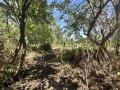 Продава КЪЩА, област Велико Търново, с. Драгижево • 32000 € • 27896929 — Holmes.bg