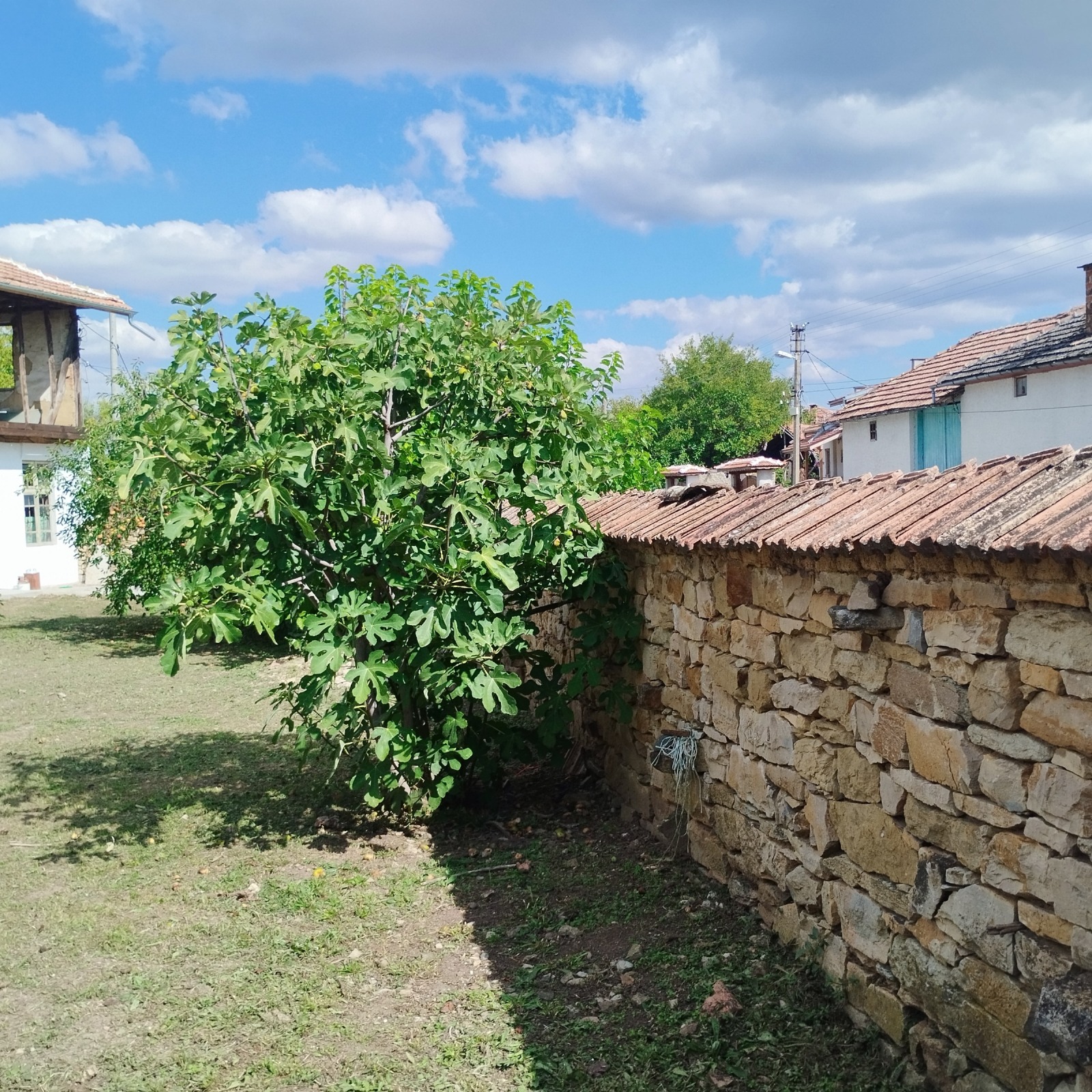 ������� ���� | Imot.bg � ����������� 9