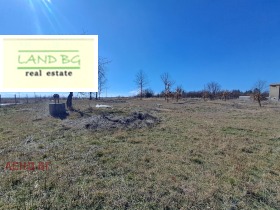 ����� ������� ������,�. �������, ������ �����