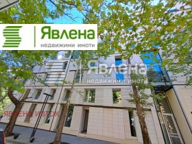 ������ ������� ����