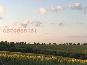 ������� ���������� ���� | Imot.bg � ����� ������ 8