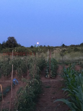 ������� ���������� ���� | Imot.bg � ����� ������ 3