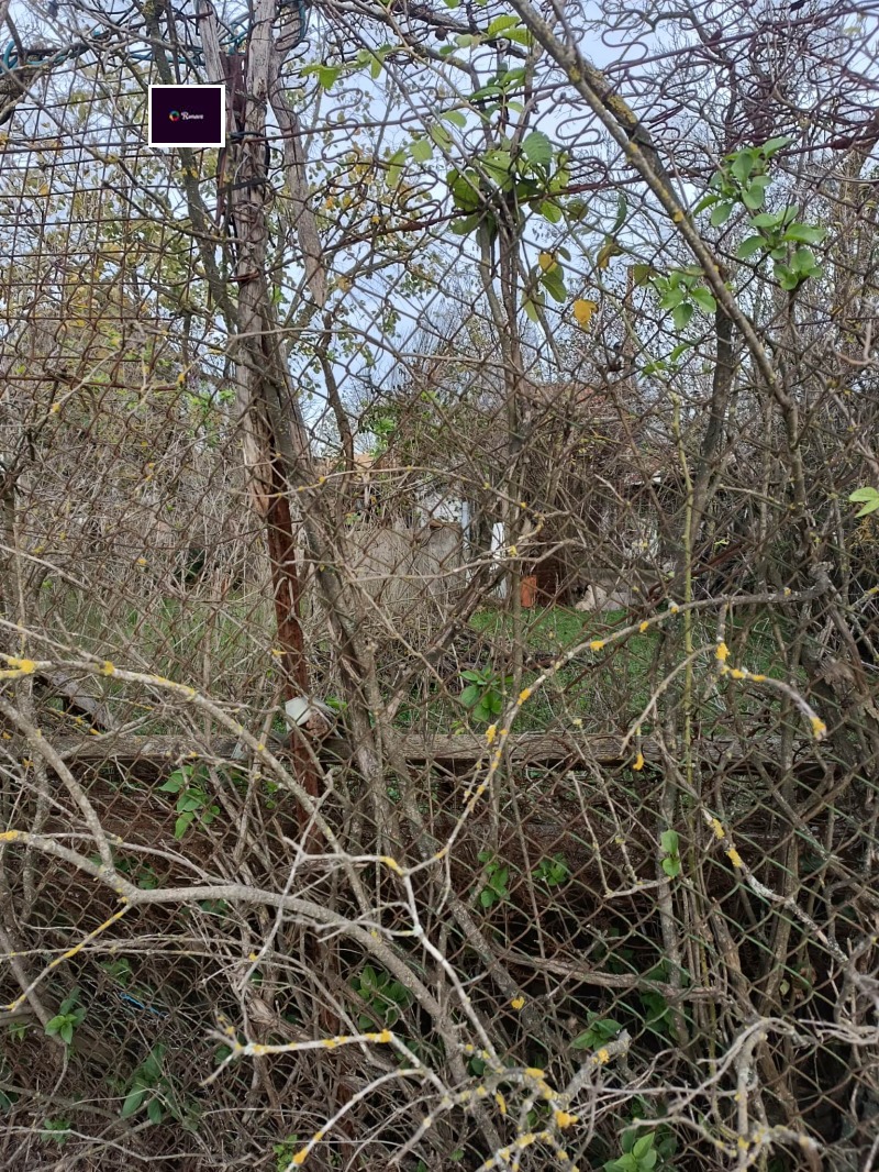 Продава КЪЩА, гр. Варна, с. Константиново, снимка 2 - Къщи - 52560210