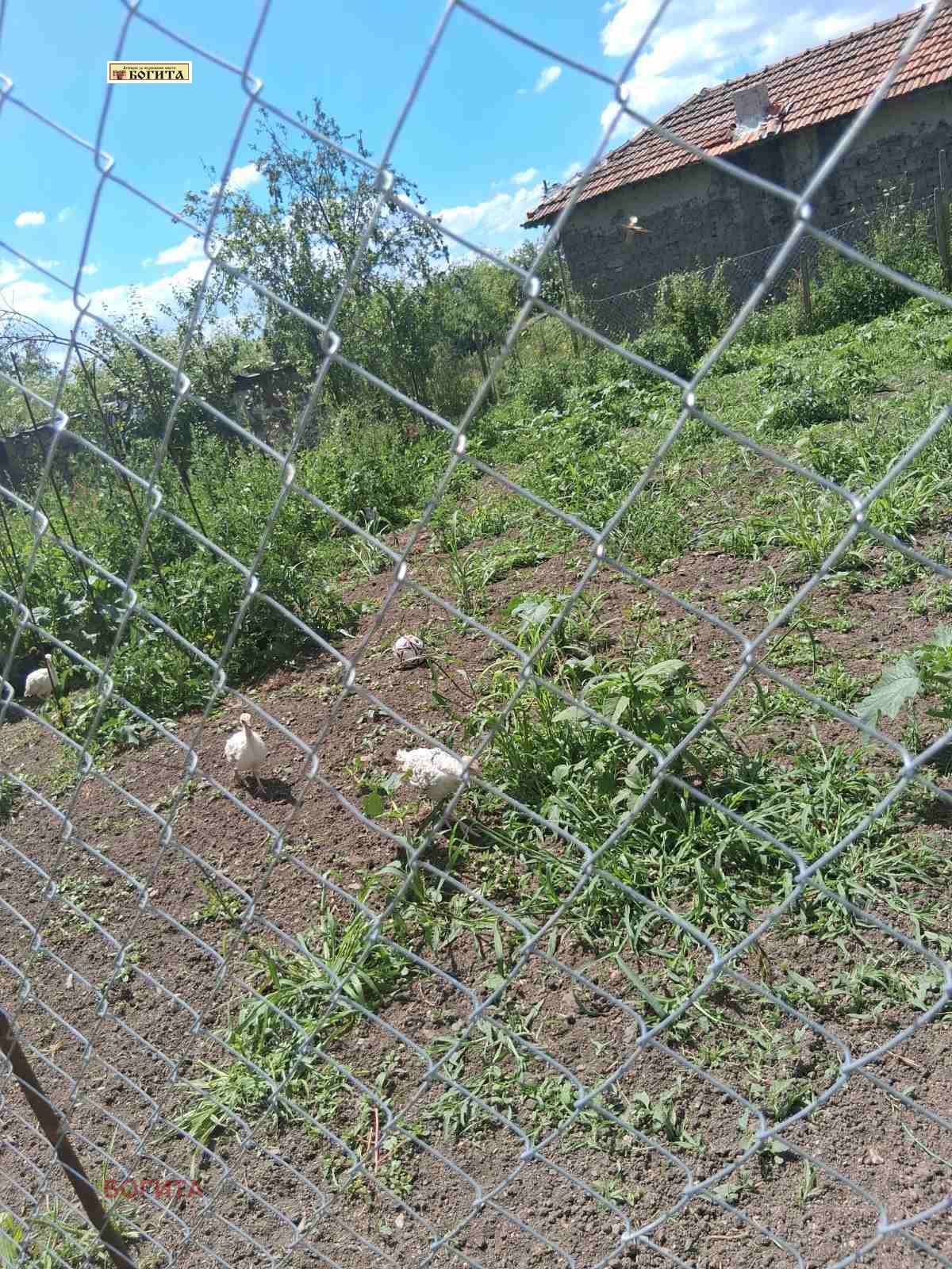 Продава КЪЩА, с. Стрелец, област Стара Загора, снимка 11 - Къщи - 56126465