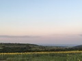 Продава ЗЕМЕДЕЛСКА ЗЕМЯ, гр. Аксаково, област Варна, снимка 4