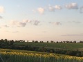 Продава ЗЕМЕДЕЛСКА ЗЕМЯ, гр. Аксаково, област Варна, снимка 8
