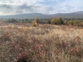 Продава ПАРЦЕЛ, област София, с. Нови хан • 224350 € • 11116424 — Holmes.bg