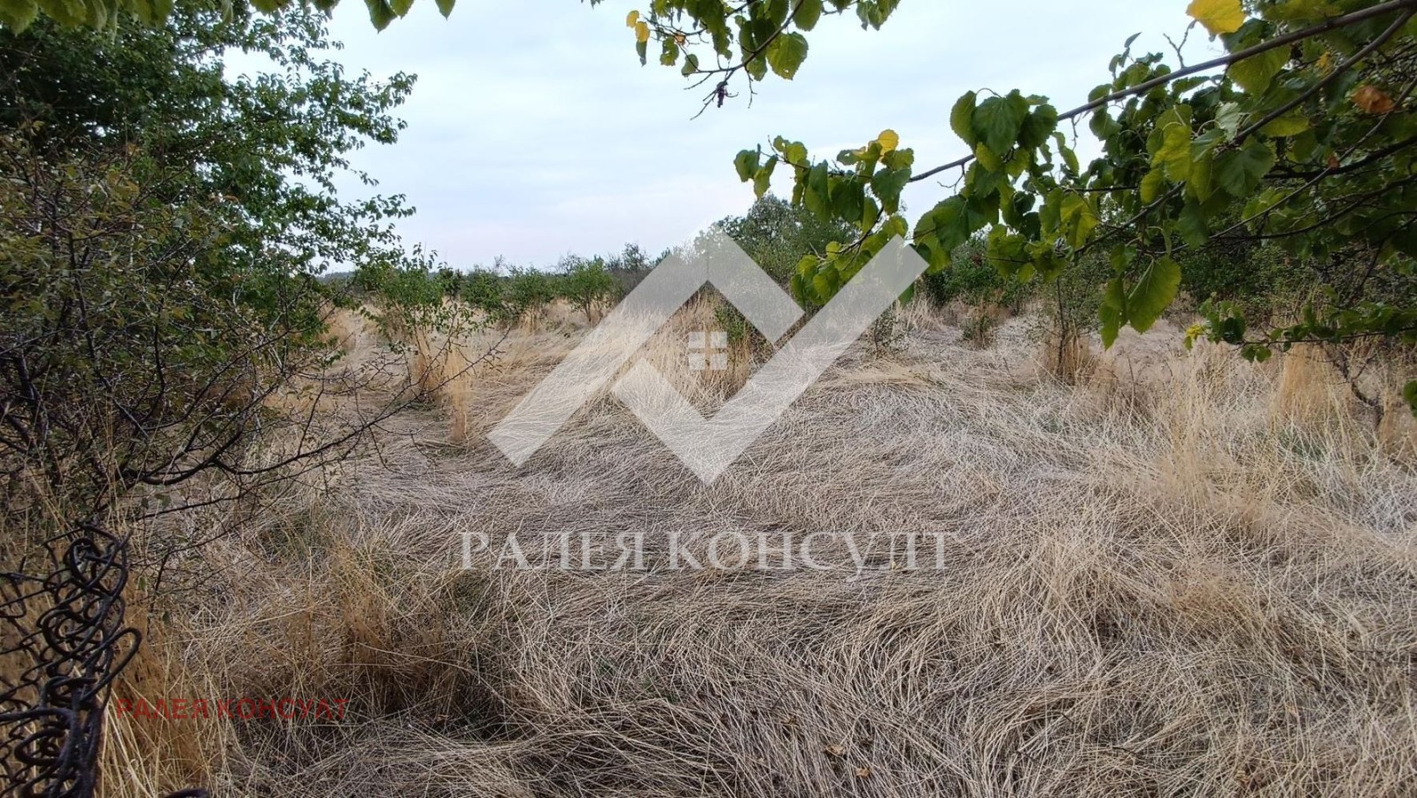 ������� ������ | Imot.bg � ����������� 3