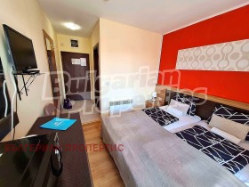 Studio Bansko, region Blagoevgrad 11