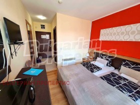 Studio Bansko, region Blagoevgrad 13