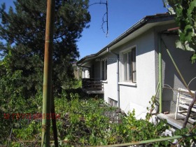 ������ ������� ����