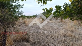 ����� ������� ������,�. ������, ������ �������