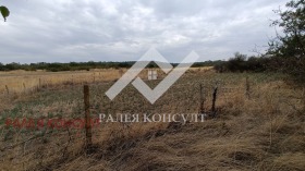 ����� ������� ������,�. ������, ������ �������