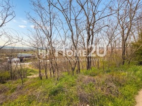 ����� ������� ������,��. ��������, ������ �����