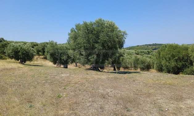 Продава ПАРЦЕЛ, Извън страната, област Извън страната, снимка 2 - Парцели - 51238772