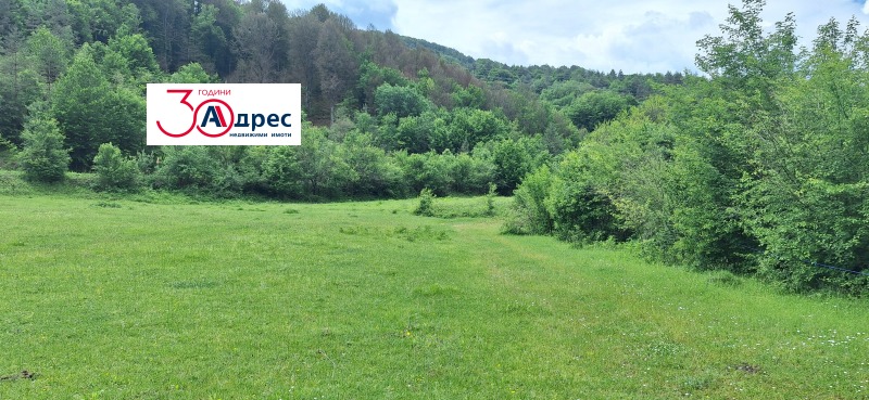 Til salg  Grund region Veliko Tarnovo , Elena , 2899 kvm | 39042861 - billede [5]