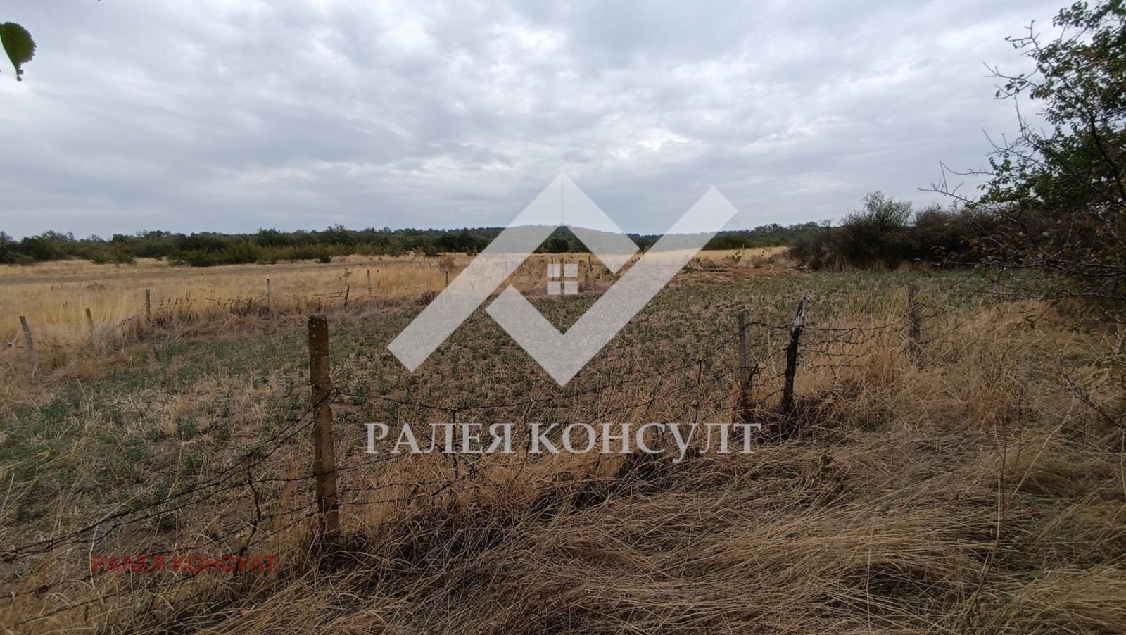 Продава ПАРЦЕЛ, с. Върбен, област Пловдив, снимка 2 - Парцели - 53415729