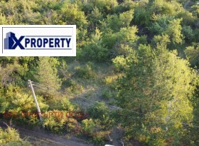 ����� ������� ������,�. �����, ������ ������