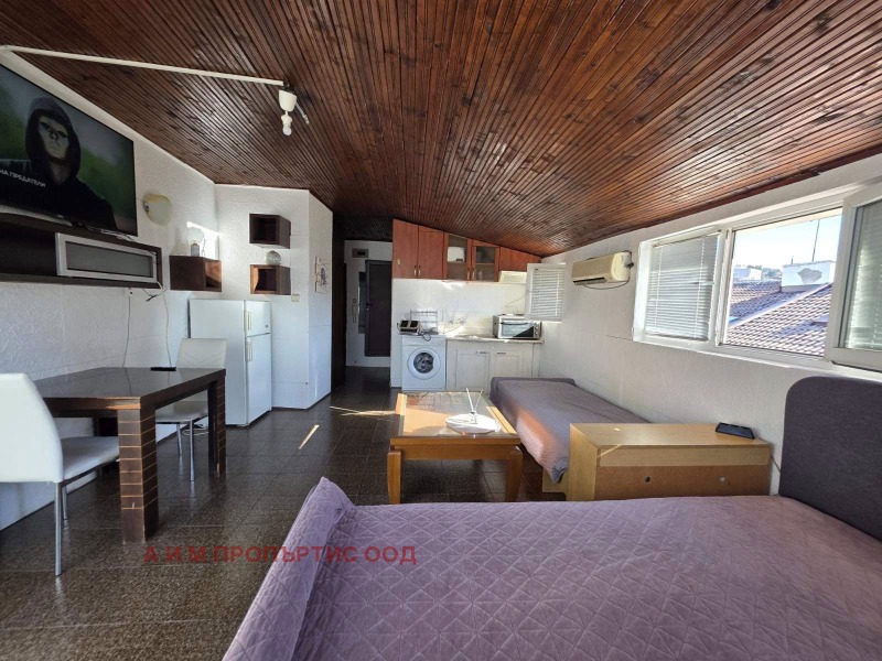 Продава АТЕЛИЕ, ТАВАН, гр. Благоевград, Идеален център, снимка 2 - Апартаменти - 52653362