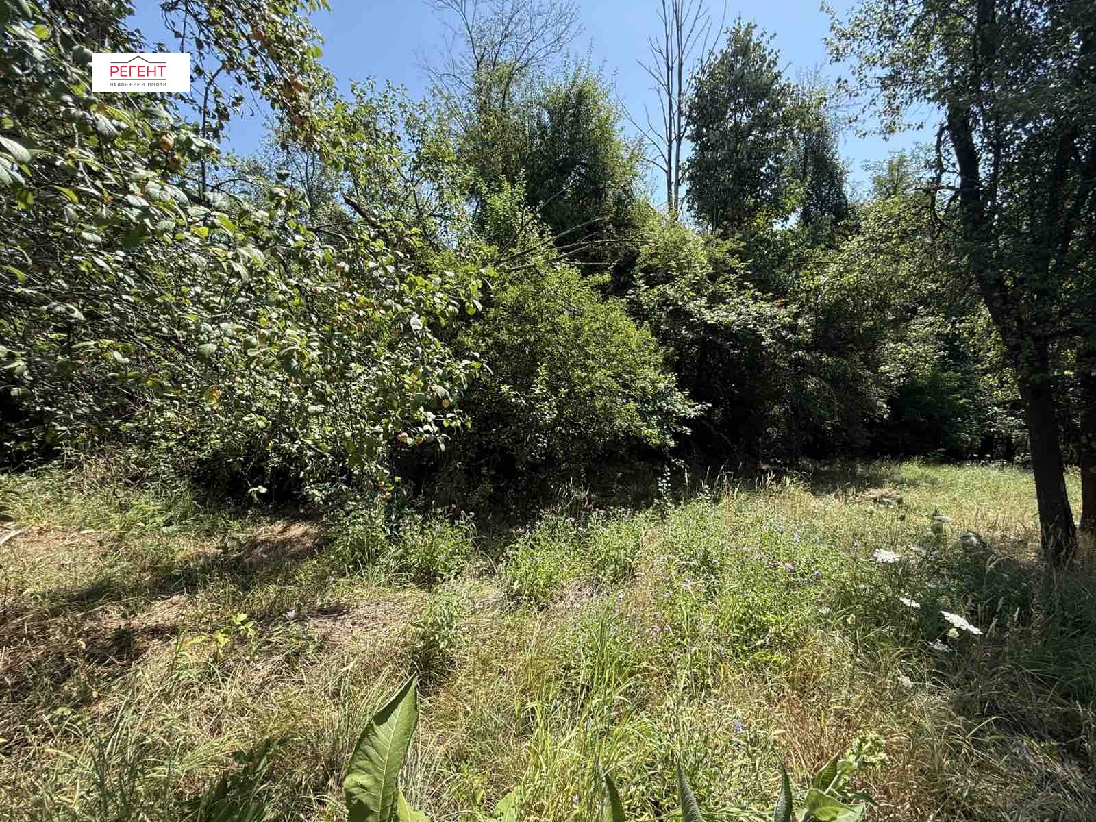 Продава ПАРЦЕЛ, с. Пецовци, област Габрово, снимка 4 - Парцели - 55691038