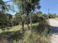 Продава ПАРЦЕЛ, с. Пецовци, област Габрово, снимка 2