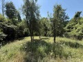 Продава  Парцел област Габрово , с. Пецовци , 1122 кв.м | 84061343 - изображение [6]