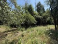Продава  Парцел област Габрово , с. Пецовци , 1122 кв.м | 84061343 - изображение [4]