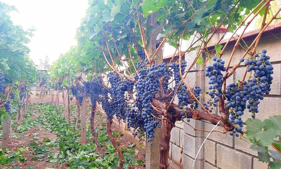 Продава КЪЩА | Imot.bg — изображение 12