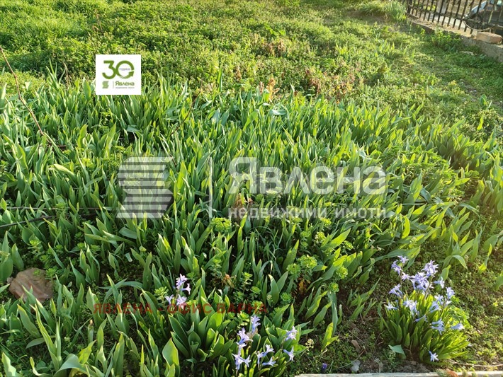 Til salg  Hus region Varna , Kipra , 114 kvm | 33791086 - billede [10]