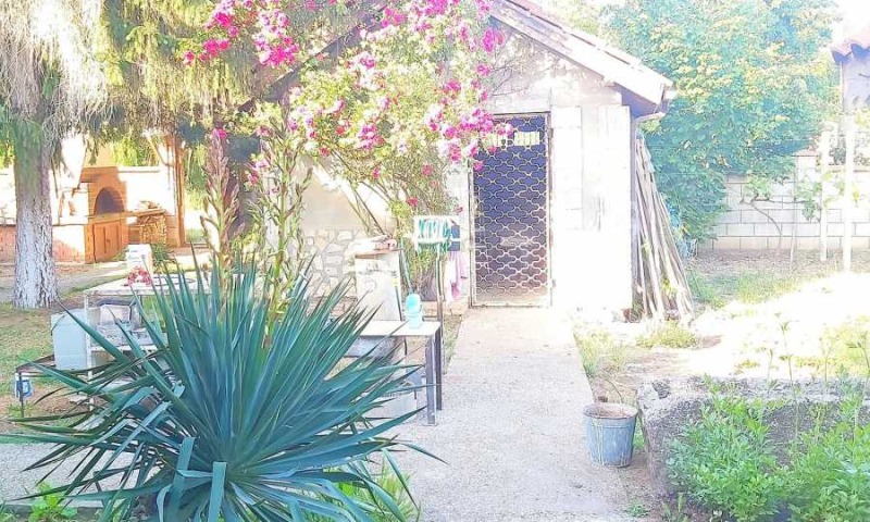 Til salgs  Hus region Dobrich , Sjernomortsi , 120 kvm | 96983231 - bilde [15]