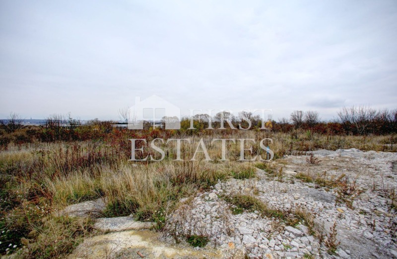 Na prodej  Spiknutí oblast Varna , Kičevo , 16600 m2 | 29520583