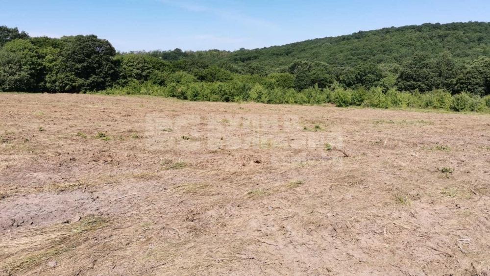 Продава ПАРЦЕЛ, гр. Варна, с. Звездица, снимка 2 - Парцели - 43169052