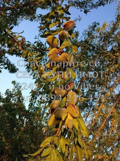 ������� ���������� ���� | Imot.bg � ����������� 3