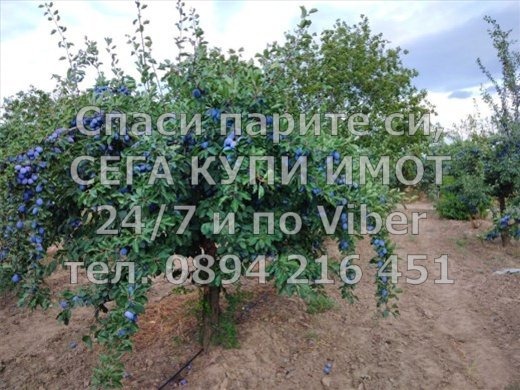 ������� ���������� ���� | Imot.bg � ����������� 5