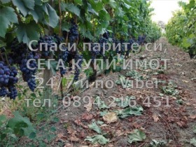 ������� ���������� ���� | Imot.bg � ����� ������ 2