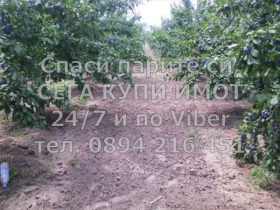 ������� ���������� ���� | Imot.bg � ����� ������ 8