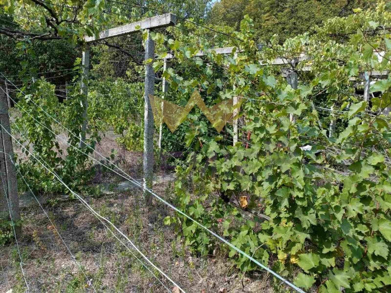Na prodej  Dům Varna , m-t Manastirski rid , 80 m2 | 62017617 - obraz [4]