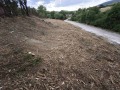 Продава ПАРЦЕЛ, гр. Драгоман, област София област, снимка 1
