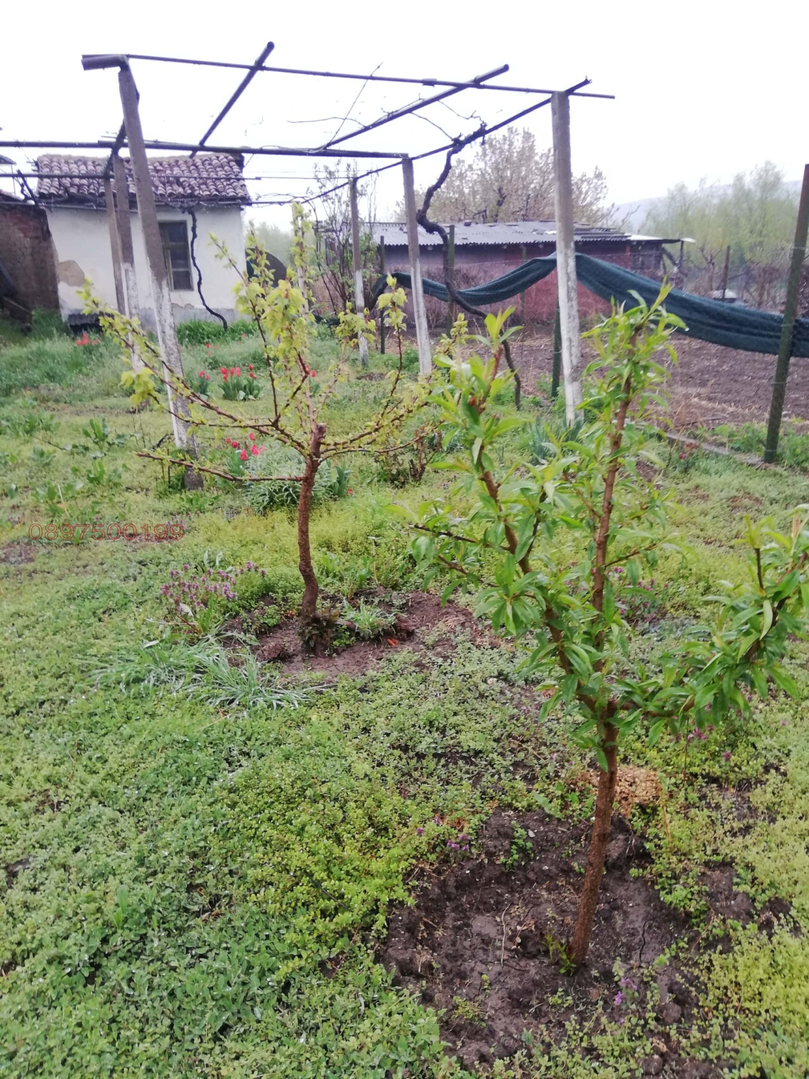 ������� ���� | Imot.bg � ����������� 4