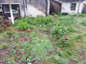 ������� ���� | Imot.bg � ����� ������ 5