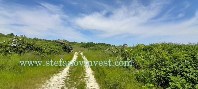 For Sale  Plot region Varna , Byala , 1600 sq.m | 77259485 - image [2]