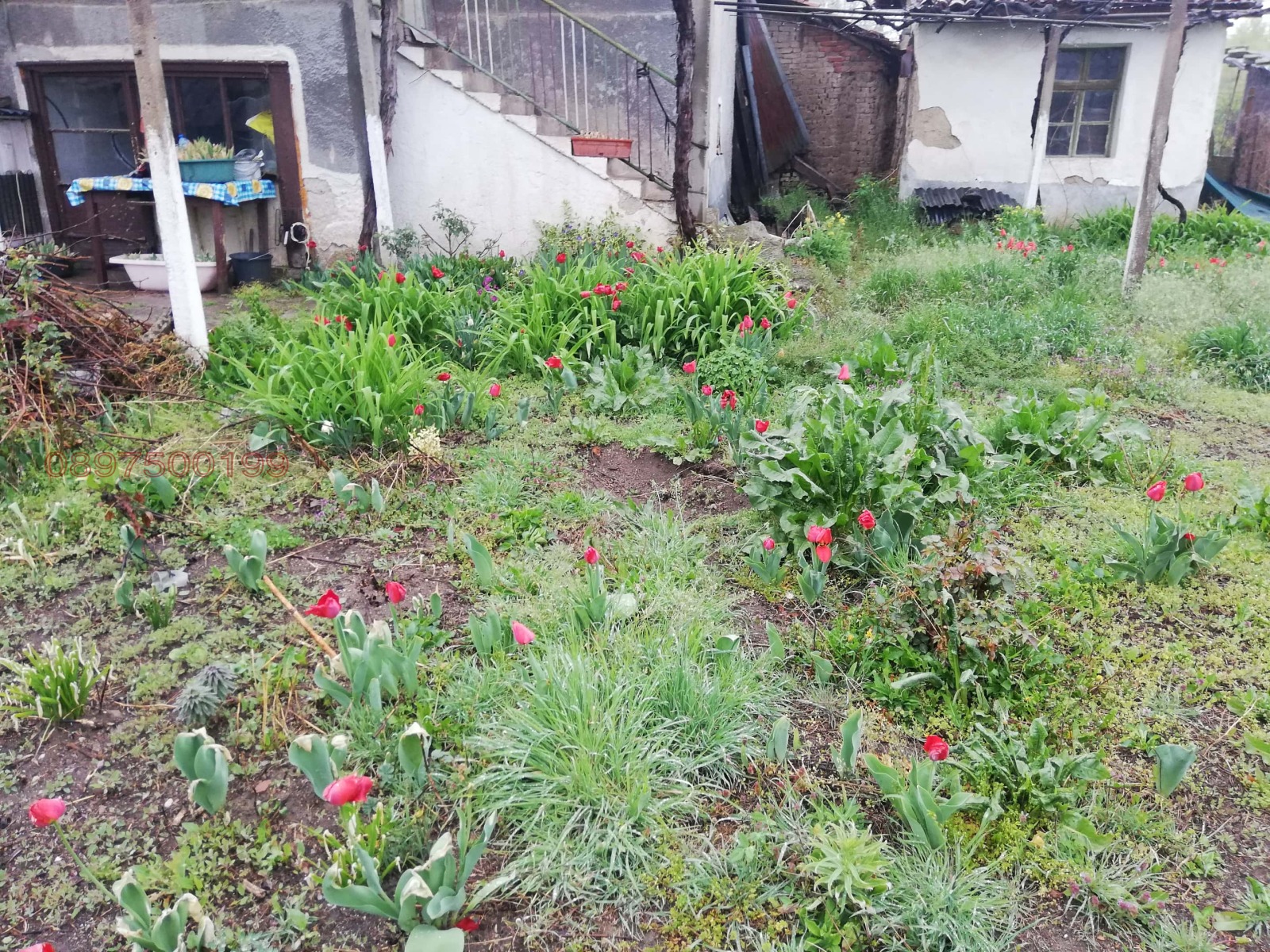 Продава КЪЩА, с. Калугерово, област Пазарджик, снимка 5 - Къщи - 55992860
