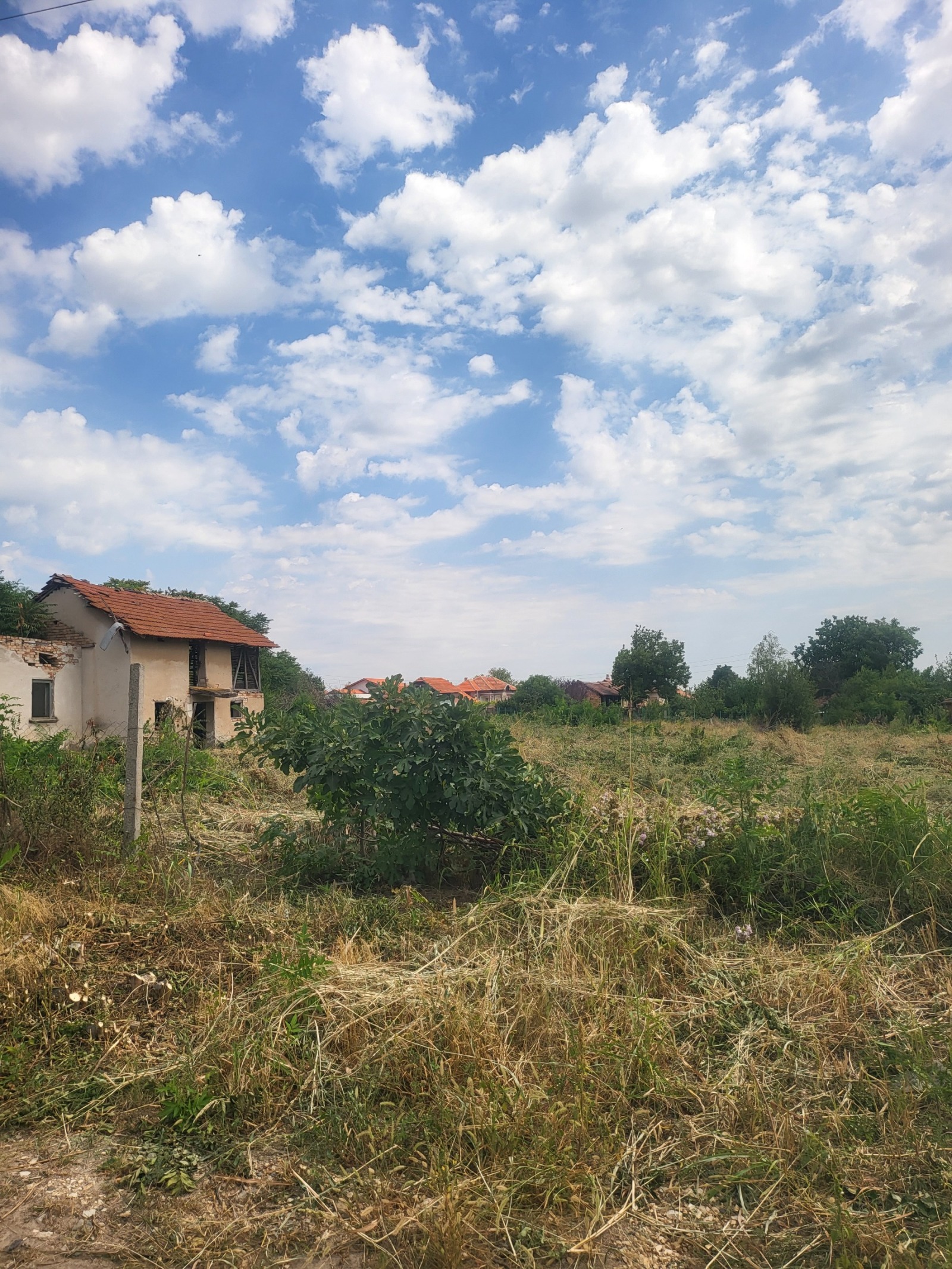 Продава КЪЩА, гр. Тръстеник, област Плевен, снимка 14 - Къщи - 55704718